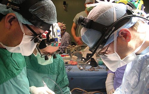 Thoracic surgeon Dr. Marc De Perrot, (R), has developed the world's first pulmonary endarterectomy simulator in an effort to decrease the length of time it takes new surgeons to learn the technique, thereby broadening the pool of specialists who can offer the procedure. (Photo: UHN)
